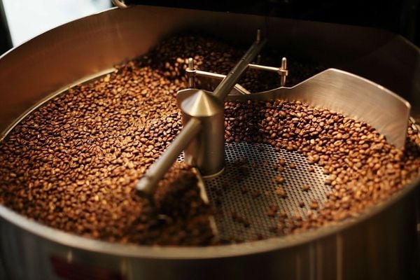 Cà phê Robusta nguyên chất