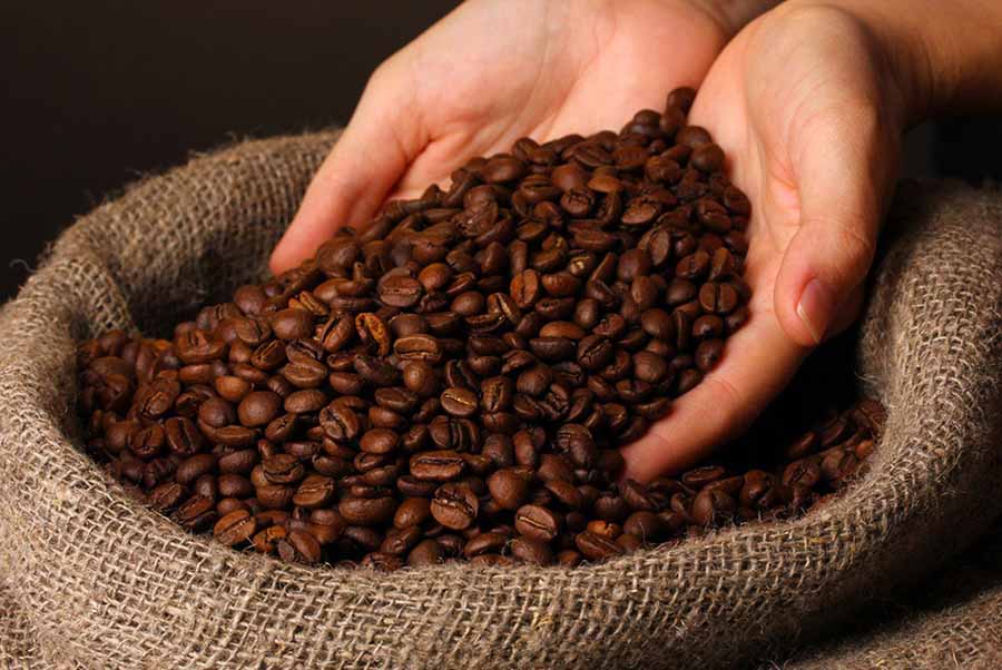 Cà phê robusta là gì?