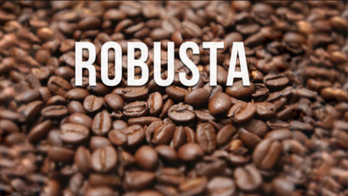 Giá cà phê Robusta xuất khẩu