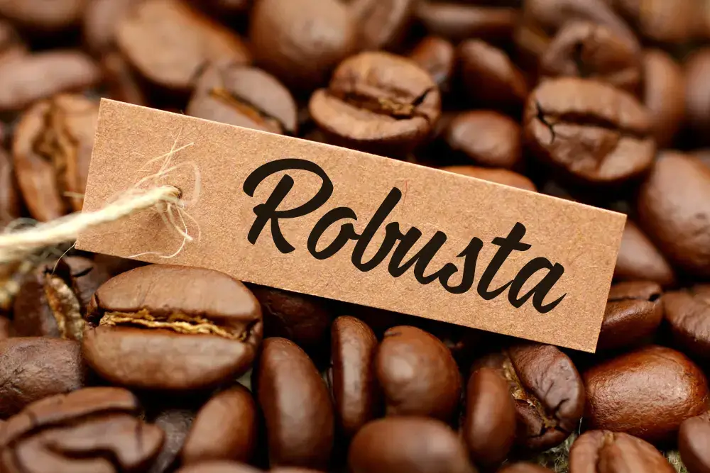 hạt cà phê robusta