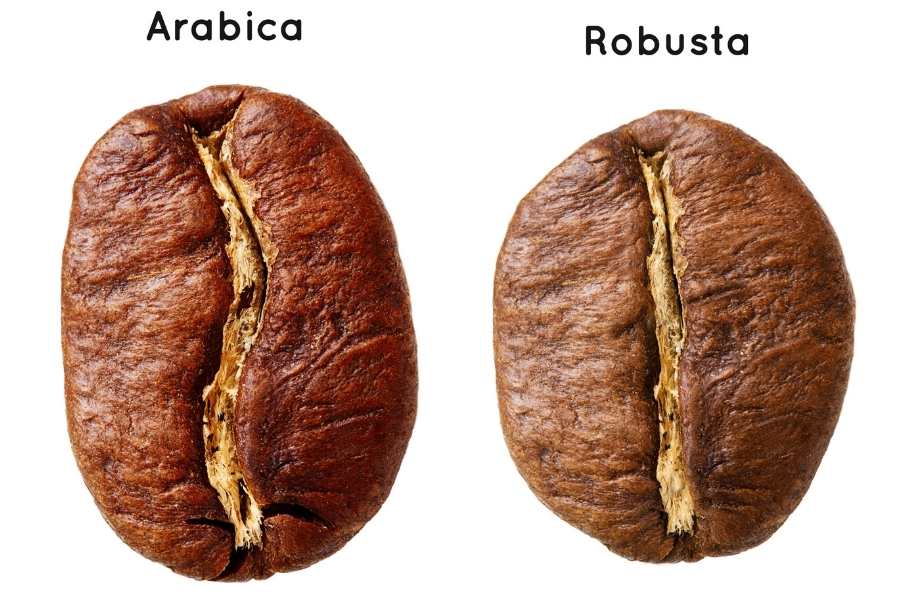 So sánh giá arabica và robusta
