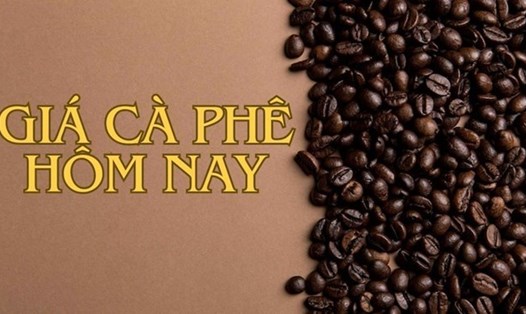Giá cà phê Arabica hôm nay