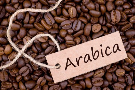 Giá cà phê Arabica xuất khẩu