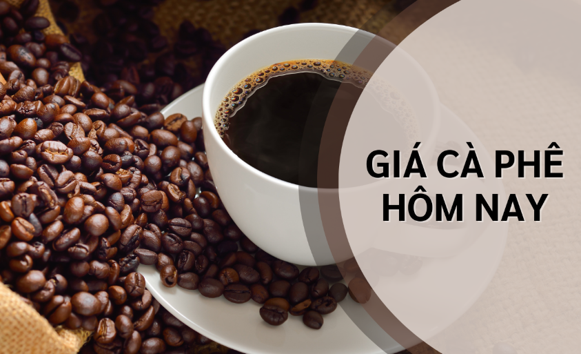 Giá cà phê Arabica