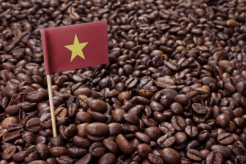 Vì sao giá cà phê robusta xuất khẩu tăng mạnh?