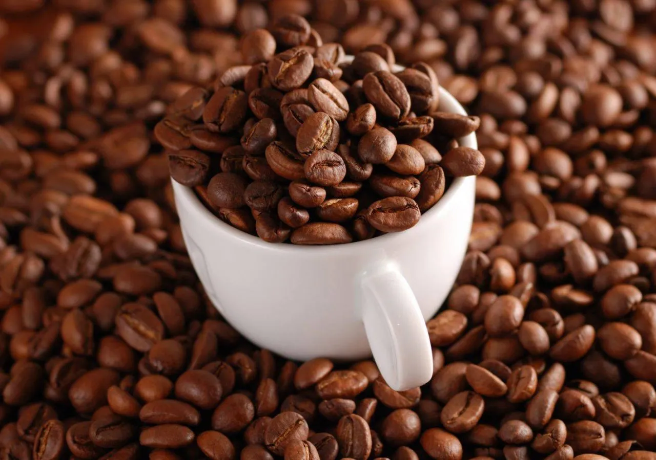 Hàm lượng cafein trong cà phê Robusta
