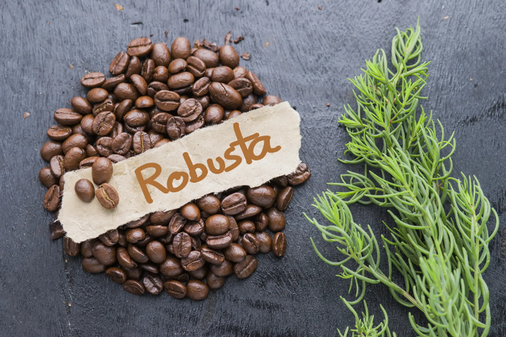 cà phê Robusta