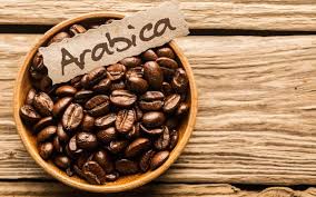 cà phê Arabica